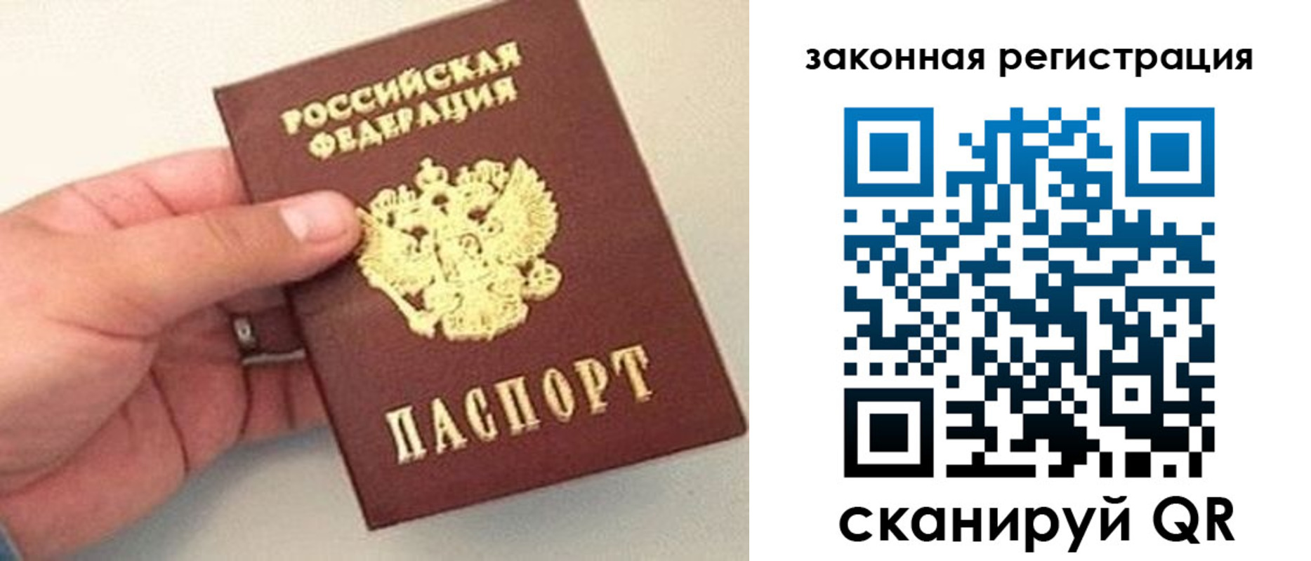 прописка для школы в Невеле